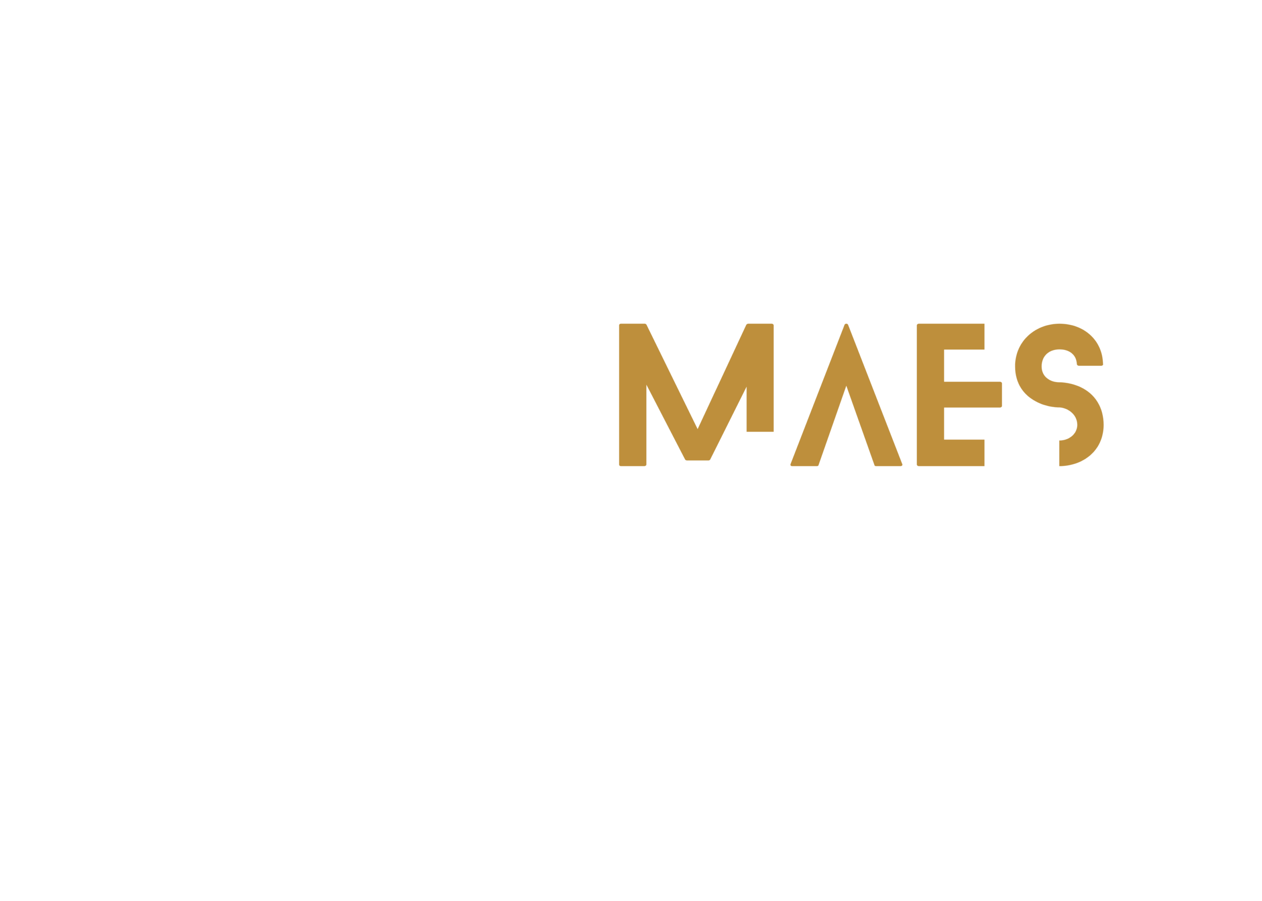 Accueil 1 Alex Maes Event